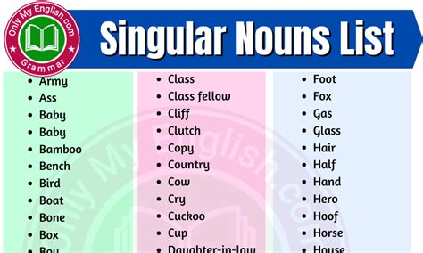 Singular Nouns List in English » Onlymyenglish.com