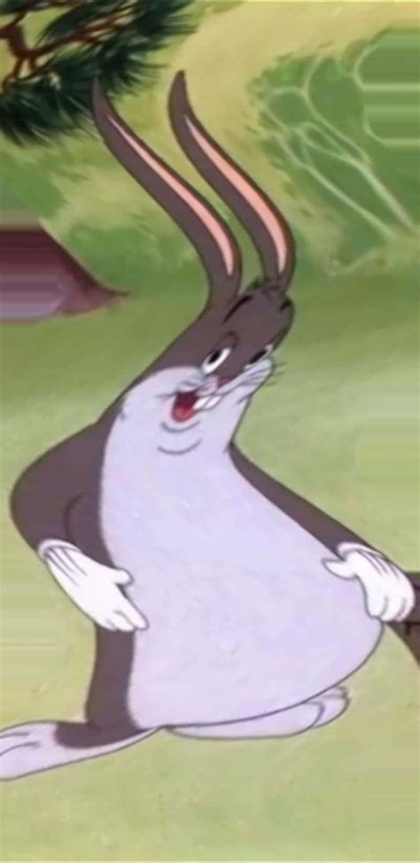 [100+] Big Chungus Wallpapers | Wallpapers.com