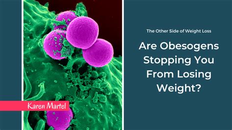 Are Obesogens Stopping You From Losing Weight?