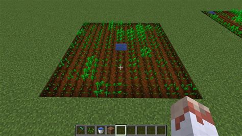 How to plant seeds in Minecraft