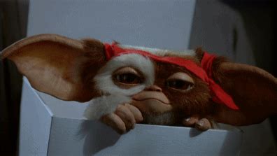 Pin by Naty Alarcon on funny | Gremlins, Gremlins gizmo, Favorite movies