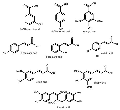 Molecules | Free Full-Text | Content of Phenolic Acids in the Grain of ...