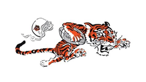 Bengals Logo History : Cincinnati Bengals It S Wrong To Call Williams A ...