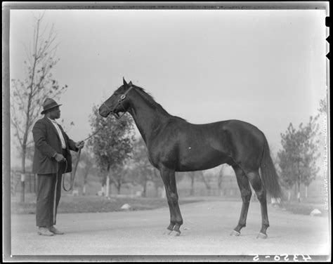 Will Harbut with War Admiral (horse)