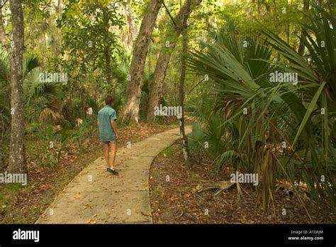 Paynes Prairie Preserve State Park, hike using trail, Florida Stock ...