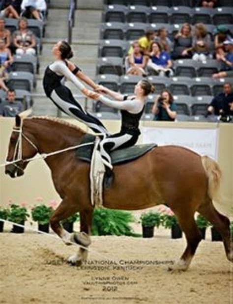 Vaulting horses – Artofit