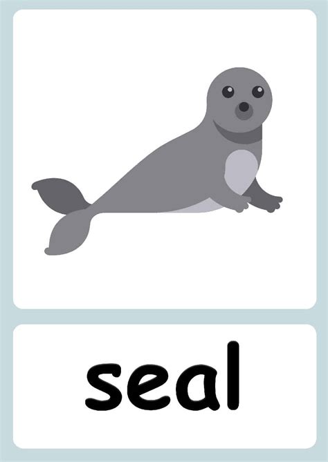 Arctic Animal flashcards + FREE Arctic background