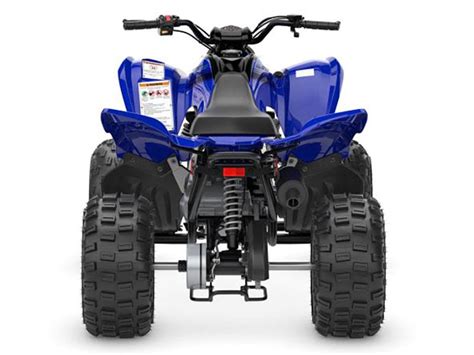 New 2024 Yamaha Raptor 110 | ATVs for Sale in Albemarle NC | Team ...