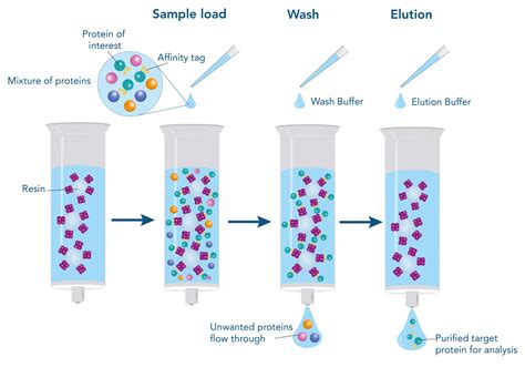 Affinity Chromatography Apparatus