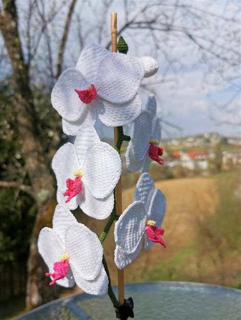 A crochet orchid that I made. : YarnAddicts