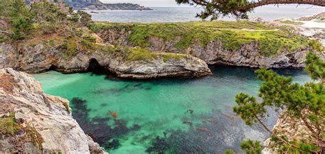 17 Unique Things To Do in Monterey