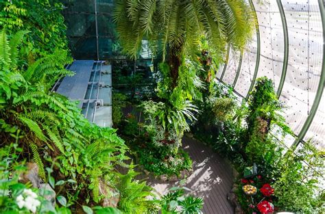 Butterfly Garden Changi Airport Singapore