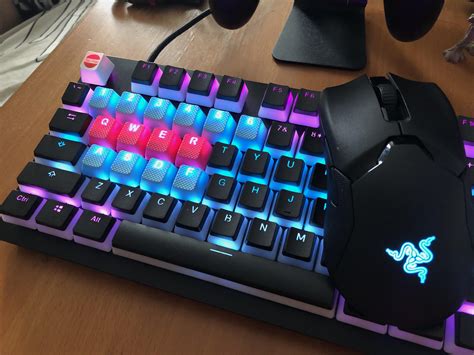 Razer huntsman TE (taihao keycaps/pudding) feat Viper ultimate! : r/razer