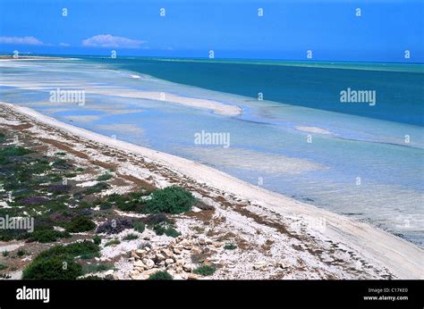 Tunisia, Jerba , northeast coast beaches Stock Photo - Alamy