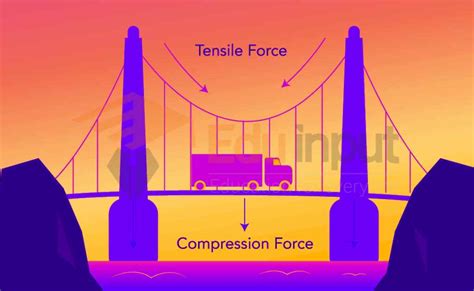 Compression Force-Definition, Effect, Uses, And Examples