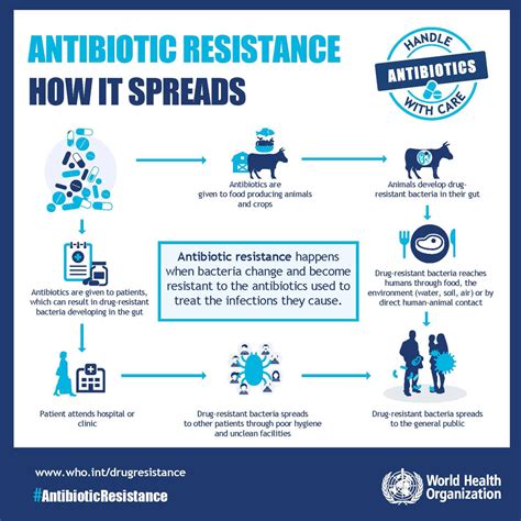 Insights into Issues: Antimicrobial resistance - INSIGHTS IAS ...