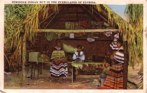 "Seminole Indian Hut in the Everglades of Florida." The Seminole hut is ...