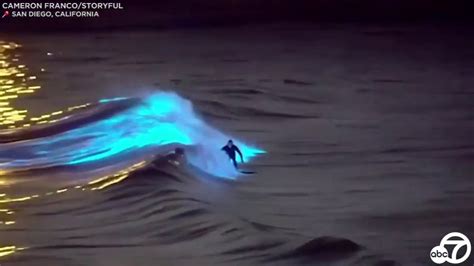 Bioluminescent waves: Surfers ride glowing waters off San Clemente, San ...