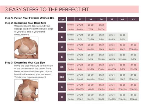 How to Measure Bra Size? Bra Different Size of Cup, Bra Size Calculator