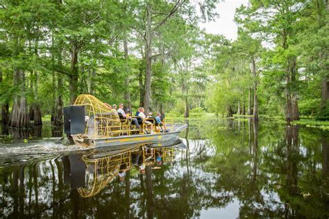 McGee's Louisiana Swamp & Airboat Tours