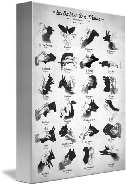 "Hand Shadows" by Zapista Zapista | Hand shadows, Framed art prints ...