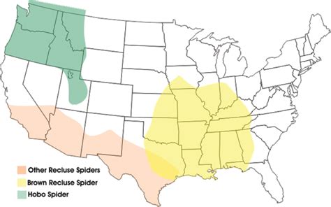 Brown Recluse Spider Map