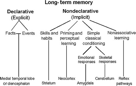 Declarative Memory Chart