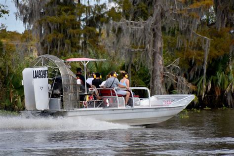 Swamp Scenery | See An Authentic Swamp Tour | Airboat Adventures