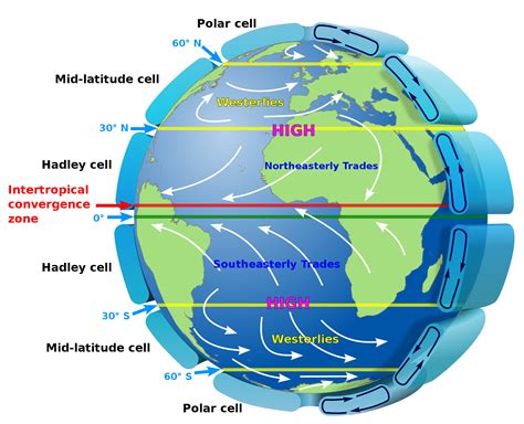 A Handy Guide to Navigating the Climate Conversation at Christmas Time ...