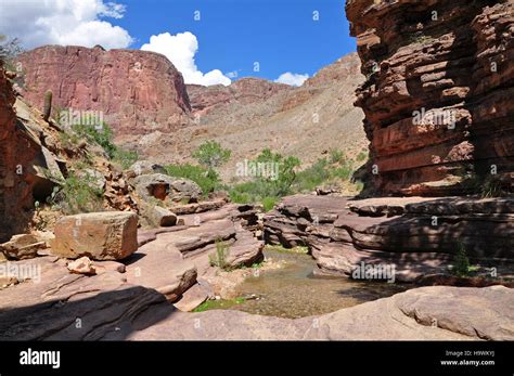 Grand Canyon National Park Deer Creek Stock Photo - Alamy