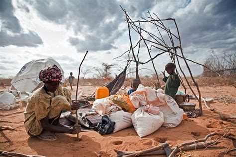 Dadaab refugee camp | Dadaab refugee camp, Refugee camp, Refugee stories