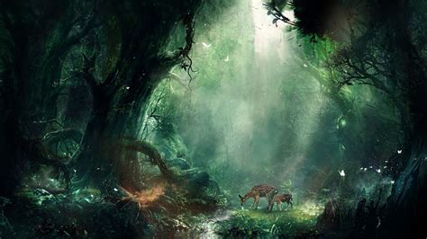 Nature Of Jungle 4K wallpaper | Nature wallpaper, Fantasy forest ...