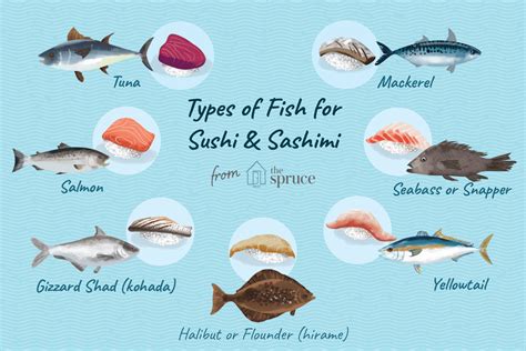 Types Of Tuna Sashimi