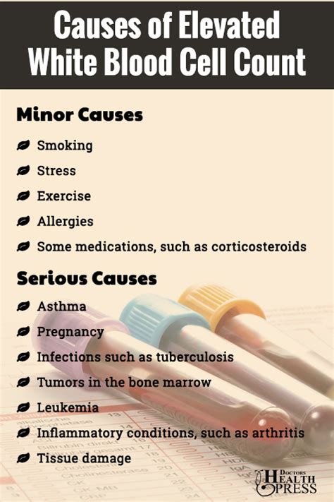 What are the Causes of Elevated White Blood Cell Count?