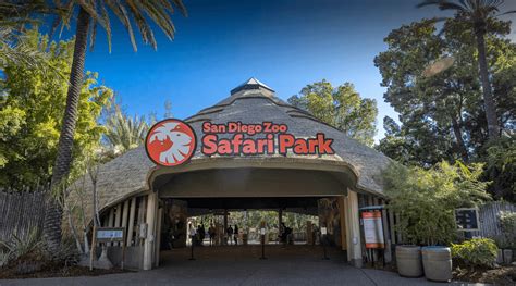 Safari Park Press Kit Fact Sheet 2023 | San Diego Zoo Wildlife Alliance