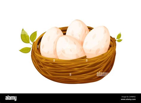 Bird nest from sticks with eggs decorated with leaves in cartoon style ...