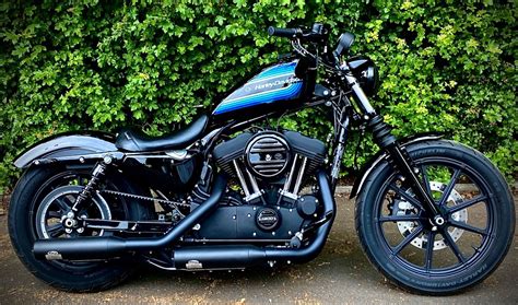 Harley Davidson Iron 1200 Custom | Sportster iron, Harley davidson ...