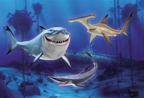 Fun Facts - The Shark Side of Finning