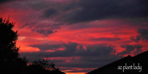 Beautiful Desert Sunset.....Storm Clouds On The Horizon - Ramblings ...