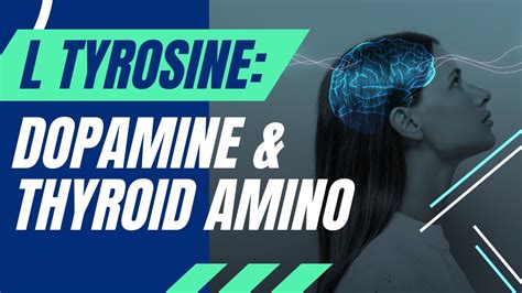 L Tyrosine - Precursor for Dopamine, Thyroid and Melanin - YouTube