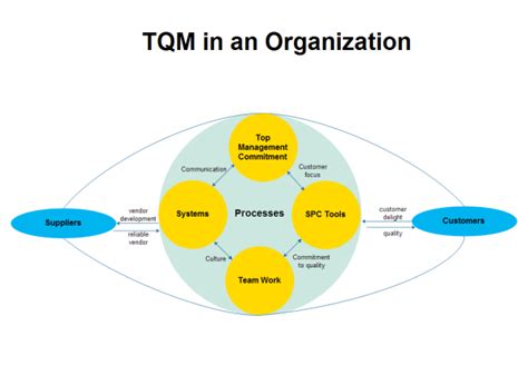 Organization TQM Diagram Examples and Templates