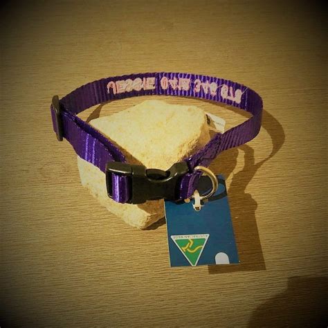 Personalised Dog Collars Aussie Made – Pet ID Tags