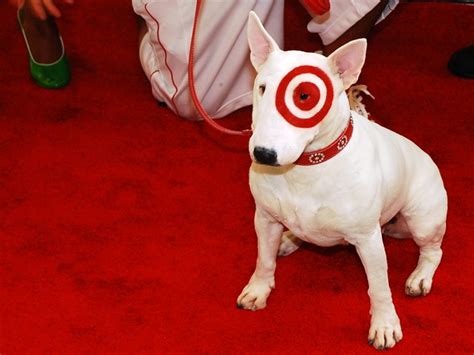 forpayconse: target dog