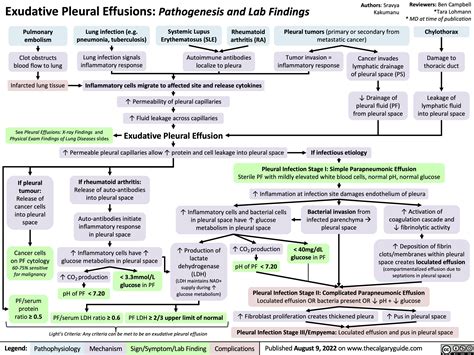 exudative-pleural-effusions-pathogenesis-and-lab-findings | Calgary Guide