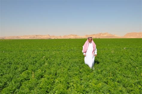 Saudi Arabia's Agricultural GDP Soars by 38% to Reach USD 26.6 Billion