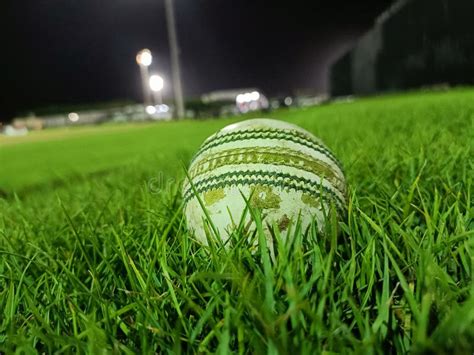 Cricket Ground at Ajman Cricket Stadium Night View Stock Photo - Image ...