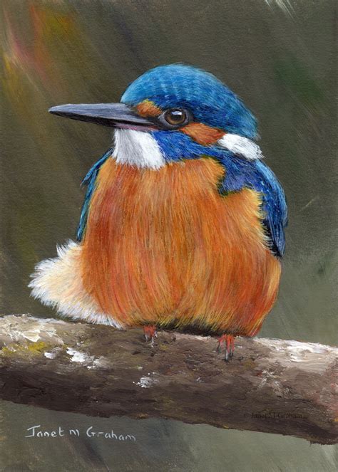 Original Bird Painting Art Kingfisher SFA Wildlife 5 X 7 Inches Acrylic ...