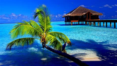 Tropical Wallpapers, Beautiful Tropical Wallpaper, #9760