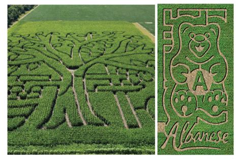 County Line Orchard | Corn Maze & Soybean Maze