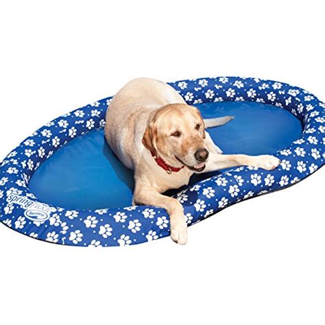 5 Cheap Best Pool Floats for Dogs to Swim On This Summer (2020)